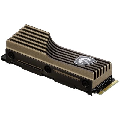 MSI SPATIUM M460 2Tb HS S78-440Q420-P83