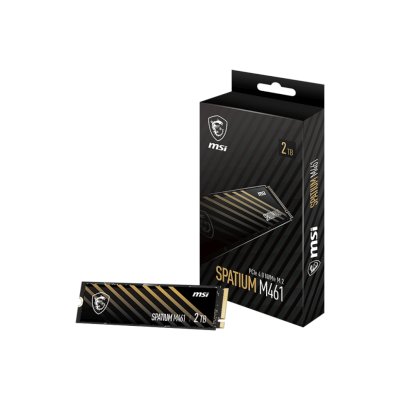 MSI SPATIUM M461 2Tb S78-440Q550-P83