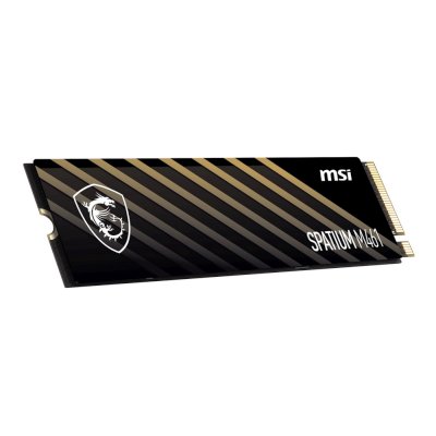 MSI SPATIUM M461 4Tb