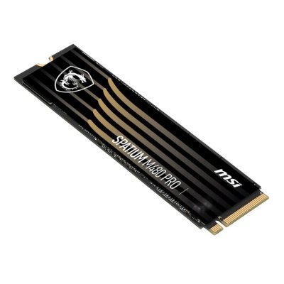 MSI SPATIUM M480 Pro Play 2Tb S78-440Q610-P83