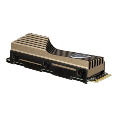 MSI SPATIUM M570 1Tb HS S78-440L1M0-P83