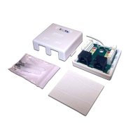 настенная розетка TWT TWT-SM2-4545/S-WH