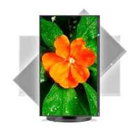 NEC MultiSync E271N Black