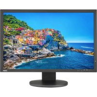 NEC MultiSync PA243W Black