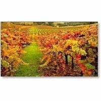 ЖК панель NEC MultiSync X554UN