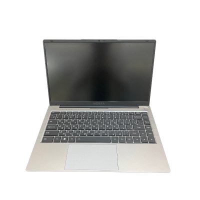 ноутбук Nerpa Caspica A542-14YM165002G