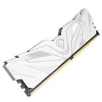 Netac Shadow II White NTSWD4P36SP-08W