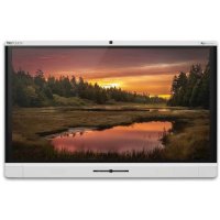 ЖК панель Newline TruTouch X9 с OPS PC