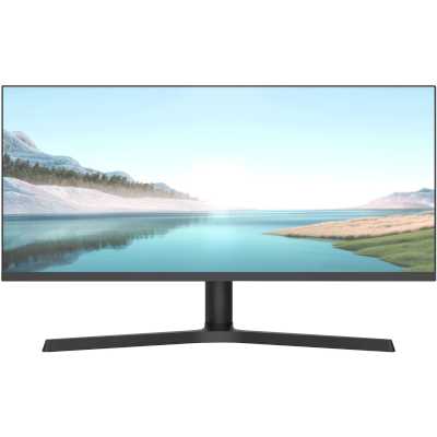 монитор NPC MZ300L