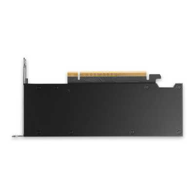 nVidia RTX PRO 2000 Blackwell 16Gb 900-5G195-2551-000