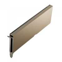 nVidia Tesla A10 24Gb 900-2G133-0020-100