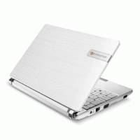 нетбук Packard Bell DOTS-C-261G32nww
