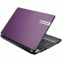 нетбук Packard Bell DOTS-C-262G32Nuw