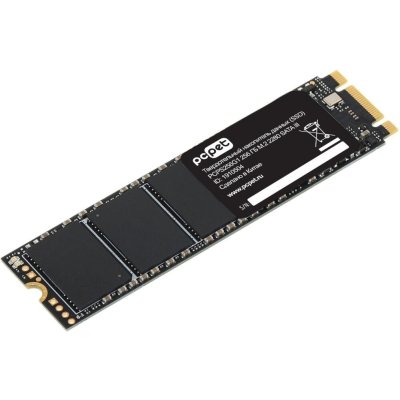 SSD диск PC PET 256Gb PCPS256G1