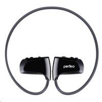 Perfeo Neptun 8GB Grey
