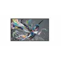 профессиональный дисплей Philips 43BDL3511Q