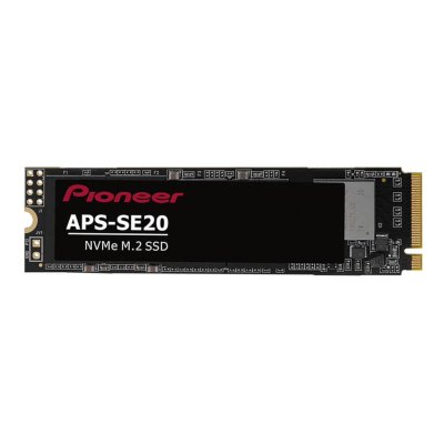 SSD диск Pioneer 256Gb APS-SE20-256