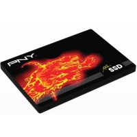 PNY SSD7CS2111-480-RB