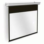 экран для проектора Projecta Cinema Electrol 10102005