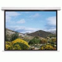 экран для проектора Projecta Descender Electrol 10102023