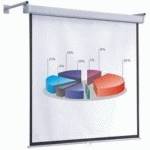 экран для проектора Projecta Elpro Electrol 10100112