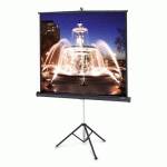 экран для проектора Projecta ProView 10430111