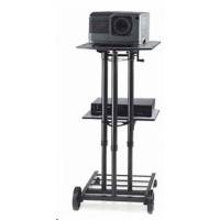 Projecta StandMaster II-A 11200042