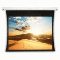 экран для проектора Projecta Tensioned Descender Electrol 10190953