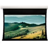 экран для проектора Projecta Tensioned Elpro Concept 10102780
