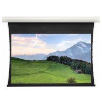 экран для проектора Projecta Tensioned Elpro Concept 10103954