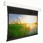 экран для проектора Projecta Tensioned Elpro Electrol 10101268