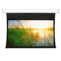 экран для проектора Projecta Tensioned Elpro Electrol 10101273