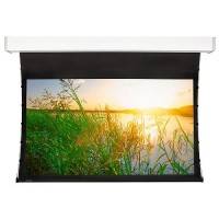 экран для проектора Projecta Tensioned Elpro Electrol 10101274