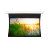 экран для проектора Projecta Tensioned Elpro Electrol 10101306