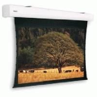 экран для проектора Projecta Tensioned Elpro Large Electrol 10102682