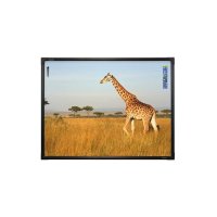 интерактивная доска Promethean ActivBoard AB10T78D