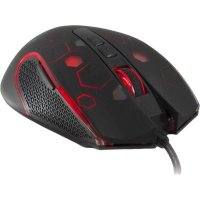 Qcyber Termit QC-02-007DV01