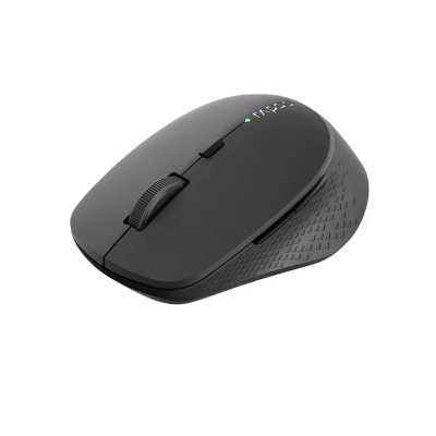 мышь Rapoo M300L-DGRY Silent Dark Grey