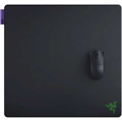 Razer Gigantus V2 Pro L Max Control RZ02-05490100-R3M1