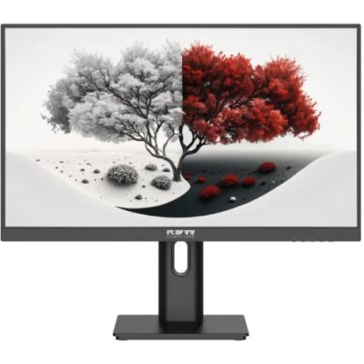 монитор RDW Computers 2401K/F05B0100V2A1H