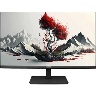 монитор RDW Computers RDW2401K/F08В3120V2A1