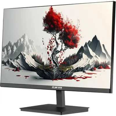 RDW Computers RDW2401K/F08В3120V2A1