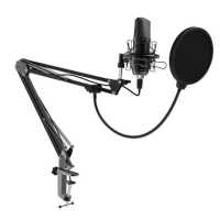 микрофон Ritmix RDM-169 Black