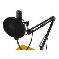 микрофон Ritmix RDM-169 Black