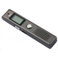 Ritmix RR-100 8Gb Black