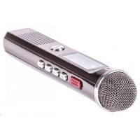 диктофон Ritmix RR-150 4Gb Black