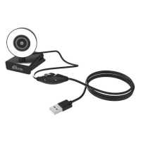 Ritmix RVC-250