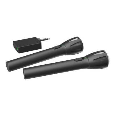 микрофон Ritmix RWM-302 Black