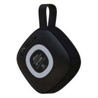 Ritmix SP-150B Black