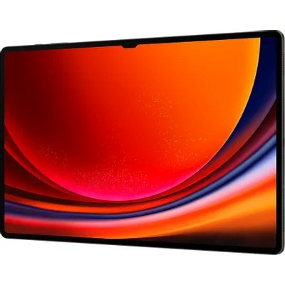 планшет Samsung Galaxy Tab S9 Ultra 5G SM-X916BZAACAU